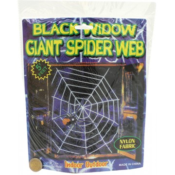 Black Spider Web 
