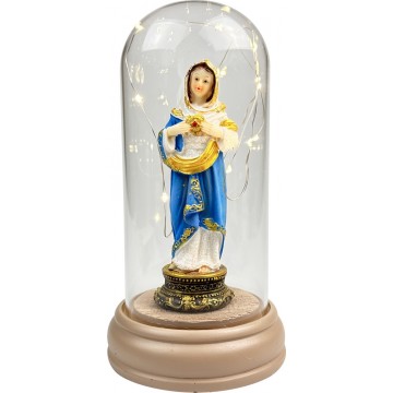 Resin Mary With LED String...