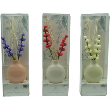 Scented Oil Reed Diffuser 4.5X8.5X25cm (12)