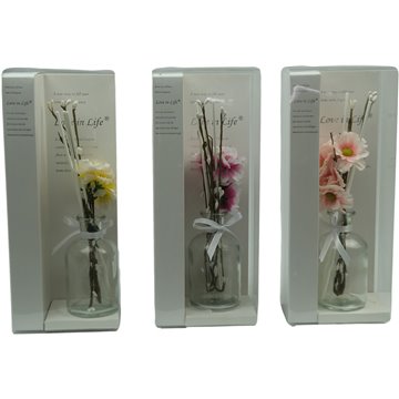 Scented Oil Reed Diffuser 11X7X26.5cm (12)