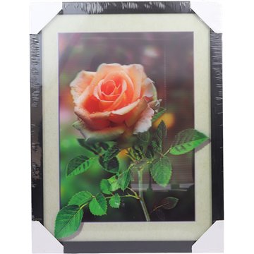 3D Picture Rose 32.5X42.5cm
