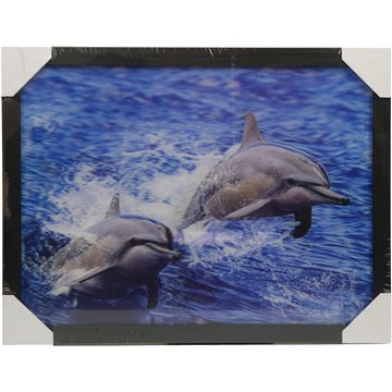 3D Picture Dolphin 32.5X42.5cm