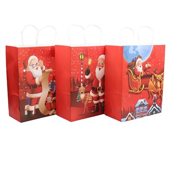 Christmas Gift Bag 31.5X11.5X42cm (12)