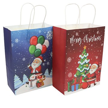 Christmas Gift Bag 25.5X12.5X33cm (12)