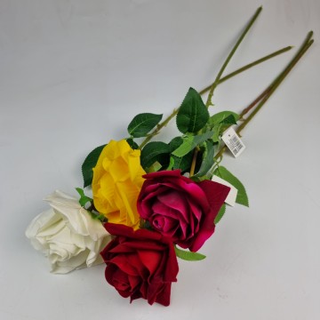 Single Long Stem Rose 70cm