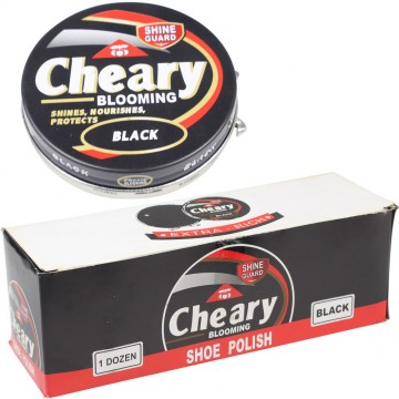 Shoe Polish (12)