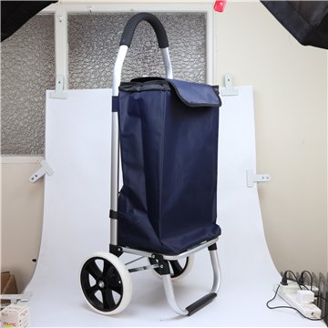 Aluminium 2 Wheel Foldable Shopping trolley
