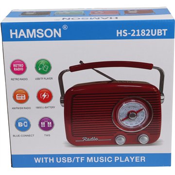 Portable Retro Bluetooth Radio with TF Card & USB Playback 22X19cm