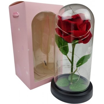 Magnificent Glass Domed...