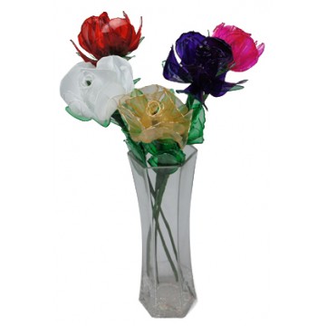 Rose 12/Pk