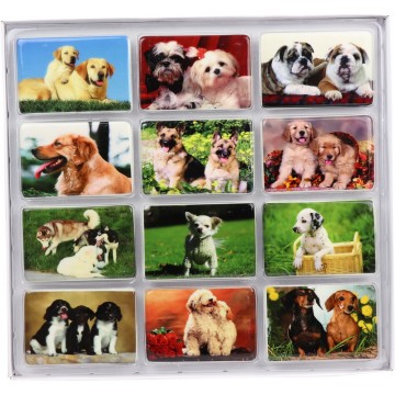 DOG FRIDGE MAGNETS