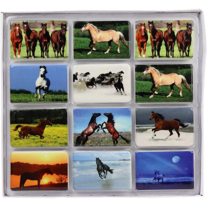 HORSE FRIDGE (12)