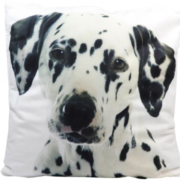 Cushion-Dog (2)