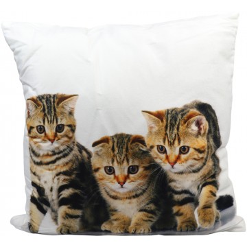 Cushion-Cat (2)