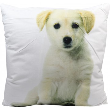 Cushion-Dog (2) 40x40cm