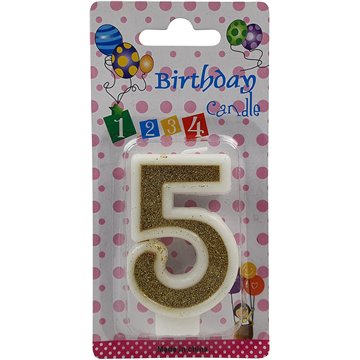 Number Birthday Candle-5 (12)