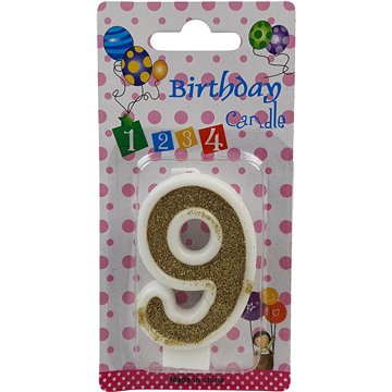 Number Birthday Candle-9 (12)